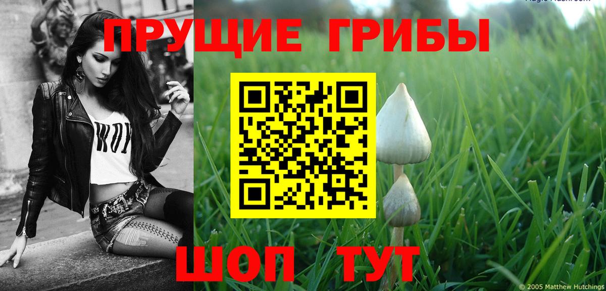 Псилоцибиновые грибы мухоморы  Вход с VPN  Азнакаево 
